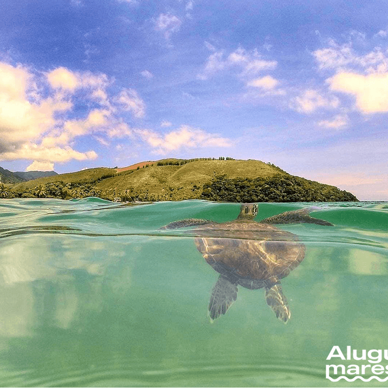 Comfort and Peace on Charming Paúba Beach